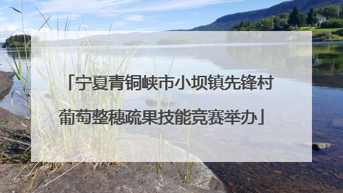 宁夏青铜峡市小坝镇先锋村葡萄整穗疏果技能竞赛举办