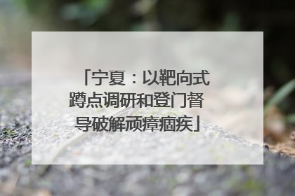 宁夏：以靶向式蹲点调研和登门督导破解顽瘴痼疾