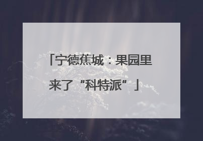 宁德蕉城：果园里来了“科特派”