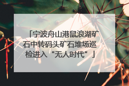 宁波舟山港鼠浪湖矿石中转码头矿石堆场巡检进入“无人时代”