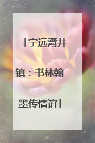 宁远湾井镇：书林翰墨传情谊