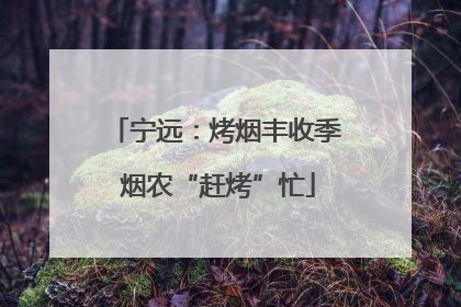 宁远：烤烟丰收季 烟农“赶烤”忙