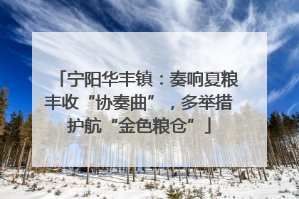 宁阳华丰镇：奏响夏粮丰收“协奏曲”，多举措护航“金色粮仓”
