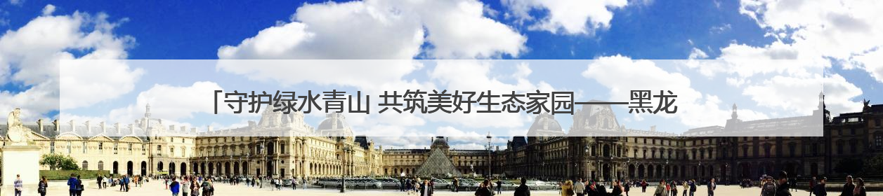 守护绿水青山 共筑美好生态家园——黑龙江省丰林县扎实推进生物多样性保护工作