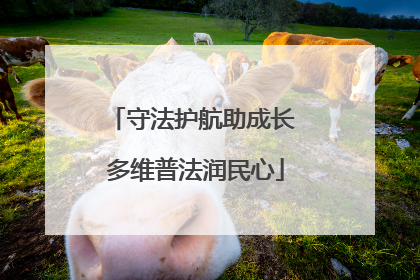守法护航助成长 多维普法润民心