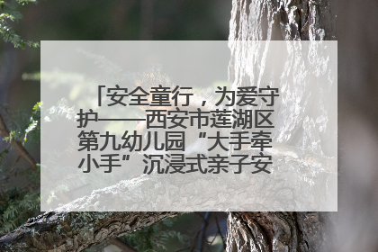 安全童行，为爱守护——西安市莲湖区第九幼儿园“大手牵小手”沉浸式亲子安全体验活动