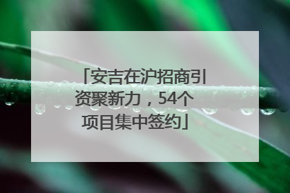 安吉在沪招商引资聚新力，54个项目集中签约