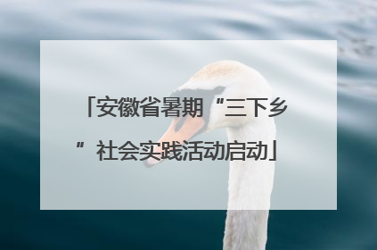 安徽省暑期“三下乡”社会实践活动启动