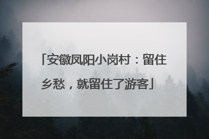 安徽凤阳小岗村：留住乡愁，就留住了游客