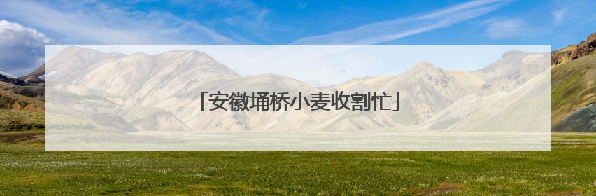 安徽埇桥小麦收割忙