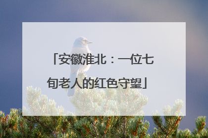 安徽淮北：一位七旬老人的红色守望