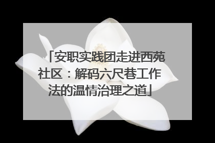安职实践团走进西苑社区：解码六尺巷工作法的温情治理之道