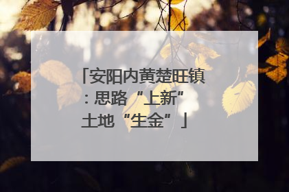安阳内黄楚旺镇：思路“上新” 土地“生金”