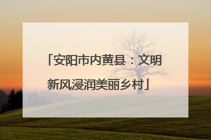 安阳市内黄县：文明新风浸润美丽乡村