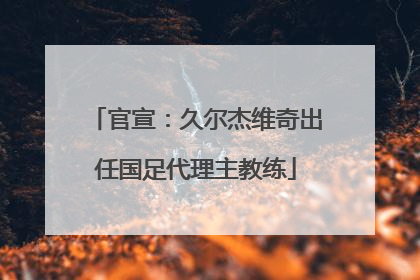 官宣：久尔杰维奇出任国足代理主教练