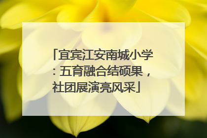 宜宾江安南城小学：五育融合结硕果，社团展演亮风采