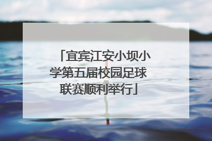 宜宾江安小坝小学第五届校园足球联赛顺利举行