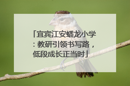 宜宾江安蟠龙小学：教研引领书写路，低段成长正当时