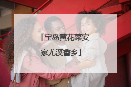 宝岛黄花菜安家尤溪畲乡