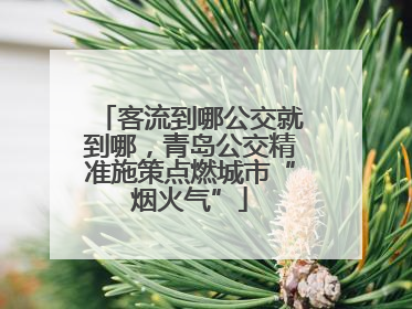 客流到哪公交就到哪，青岛公交精准施策点燃城市“烟火气”