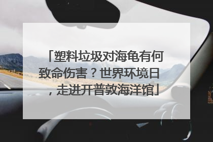 塑料垃圾对海龟有何致命伤害？世界环境日，走进开普敦海洋馆