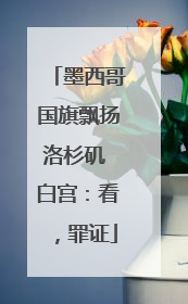 墨西哥国旗飘扬洛杉矶 白宫：看，罪证