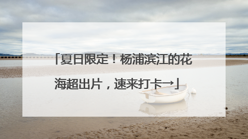夏日限定！杨浦滨江的花海超出片，速来打卡→