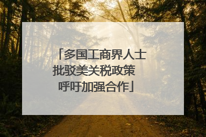 多国工商界人士批驳美关税政策 呼吁加强合作