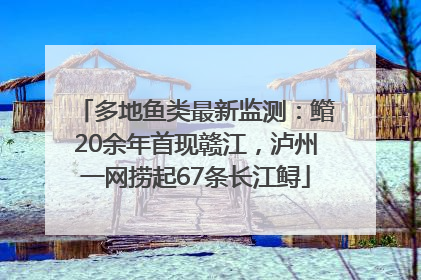 多地鱼类最新监测：鳤20余年首现赣江，泸州一网捞起67条长江鲟