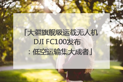 大疆旗舰级运载无人机DJI FC100发布：低空运输集大成者