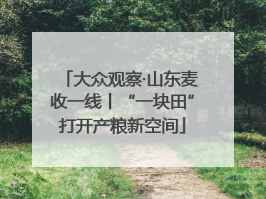 大众观察·山东麦收一线丨“一块田”打开产粮新空间