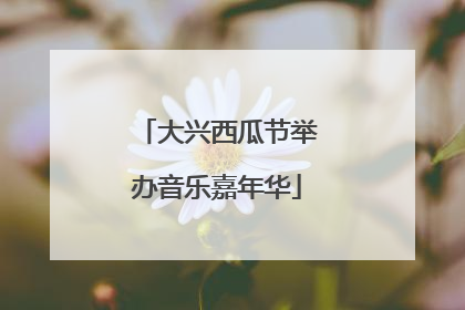 大兴西瓜节举办音乐嘉年华
