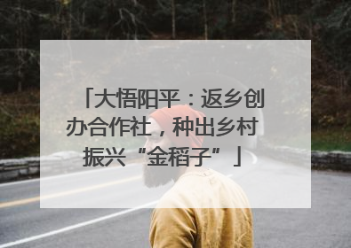 大悟阳平：返乡创办合作社，种出乡村振兴“金稻子”