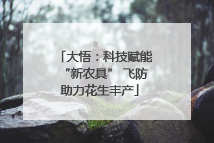 大悟：科技赋能“新农具” 飞防助力花生丰产