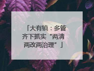大有镇：多管齐下抓实“两清两改两治理”