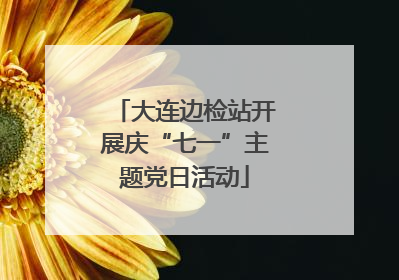 大连边检站开展庆“七一”主题党日活动
