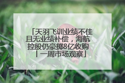 天羽飞训业绩不佳且无业绩补偿，海航控股仍豪掷8亿收购丨一周市场观察