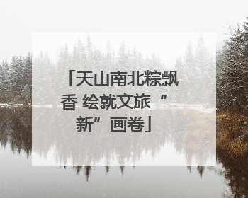 天山南北粽飘香 绘就文旅“新”画卷