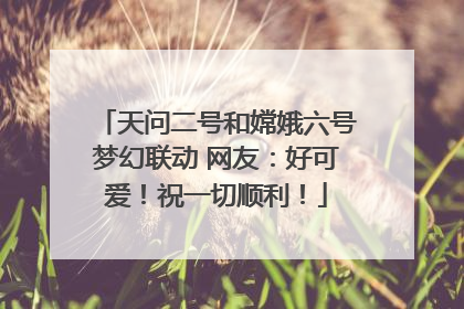 天问二号和嫦娥六号梦幻联动 网友：好可爱！祝一切顺利！