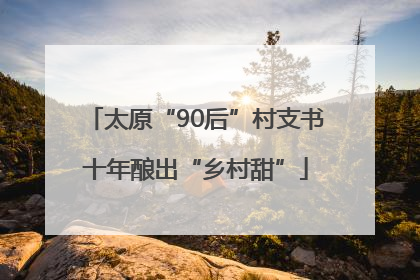 太原“90后”村支书十年酿出“乡村甜”