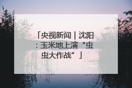 央视新闻｜沈阳：玉米地上演“虫虫大作战”