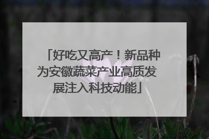 好吃又高产！新品种为安徽蔬菜产业高质发展注入科技动能