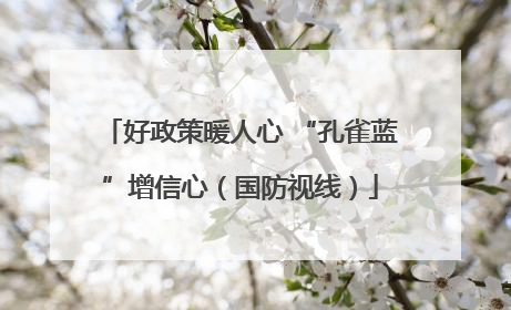好政策暖人心 “孔雀蓝”增信心（国防视线）