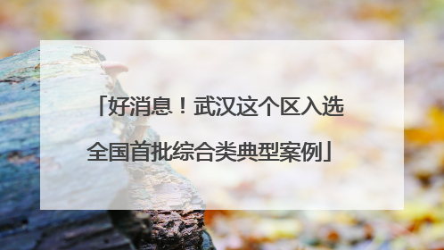 好消息！武汉这个区入选全国首批综合类典型案例