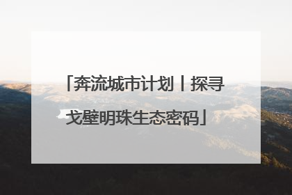 奔流城市计划丨探寻戈壁明珠生态密码