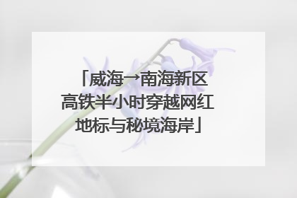 威海→南海新区 高铁半小时穿越网红地标与秘境海岸