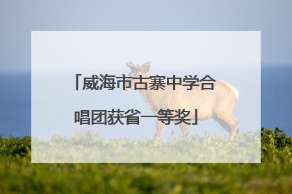 威海市古寨中学合唱团获省一等奖