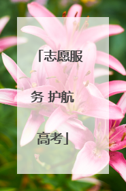 志愿服务 护航高考