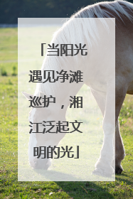 当阳光遇见净滩巡护，湘江泛起文明的光