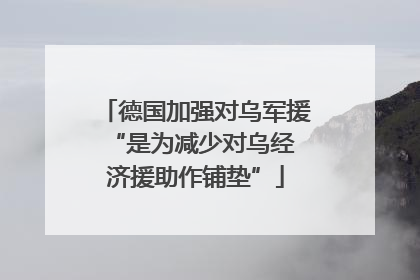 德国加强对乌军援 “是为减少对乌经济援助作铺垫”